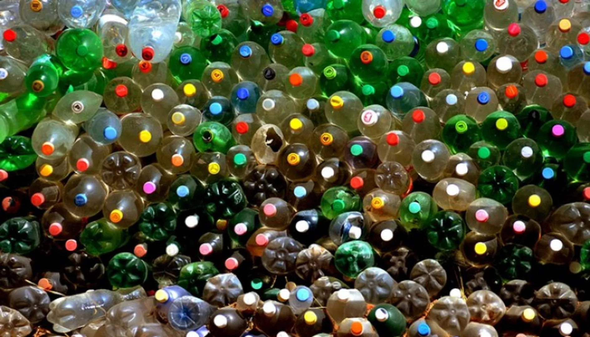 bottles